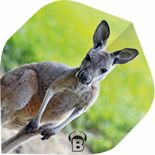 BULLS Motex Flights Standard A-Shape A-Standard kangoroo