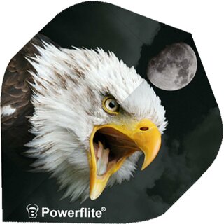 BULLS Powerflite Standard A-Shape A-Standard eaglehead
